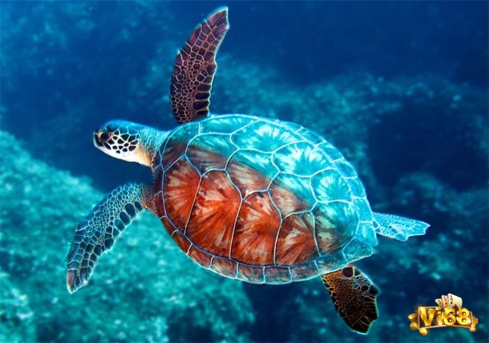 Điềm báo phân theo từng bối cảnh mơ xảy ra 