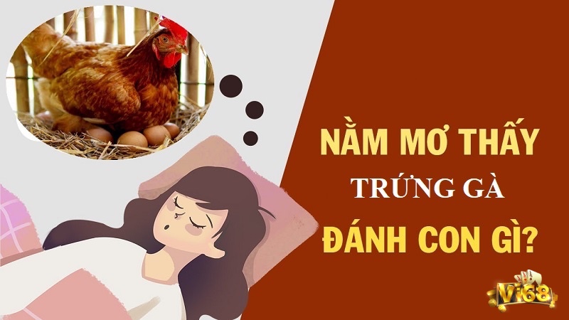 Dân gian lưu truyền nhiều con số gắn liền với giấc mơ mơ thấy gà đẻ trứng là điềm báo gì như biểu tượng vận may.